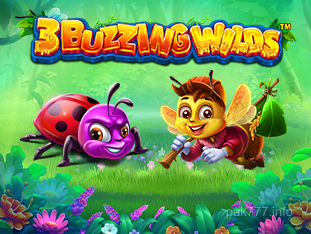 3 Buzzing Wilds